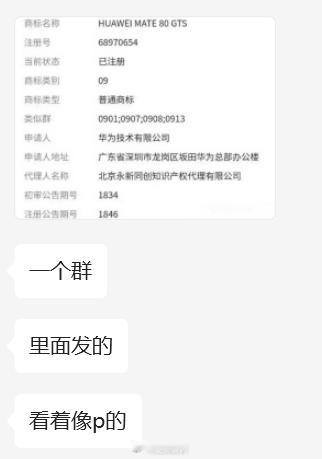 不是P的... 华为从Mate 60系列开始就注册“GTS”的命名，只是备选方案