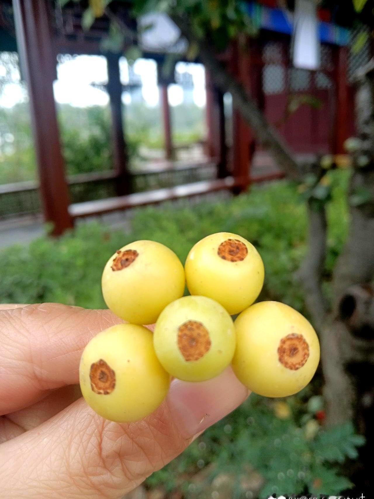 中秋节转给娘家2000块，公公那边一分没给，只递过去一个网购的水壶，不到200块