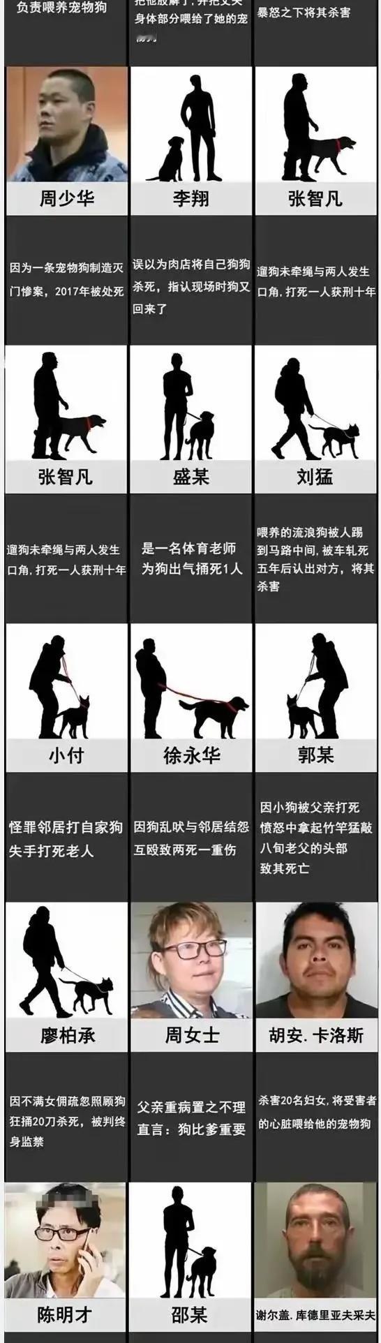 一条狗引发的血案