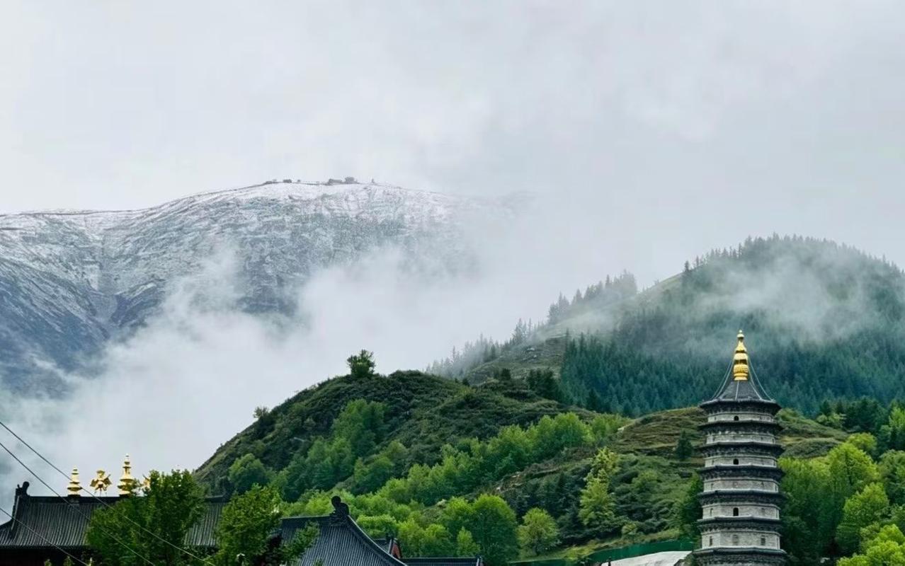 我们反思一下自己：念诵百字明或修金刚萨垛除障法的时候，在你的相续中有没有菩提心？