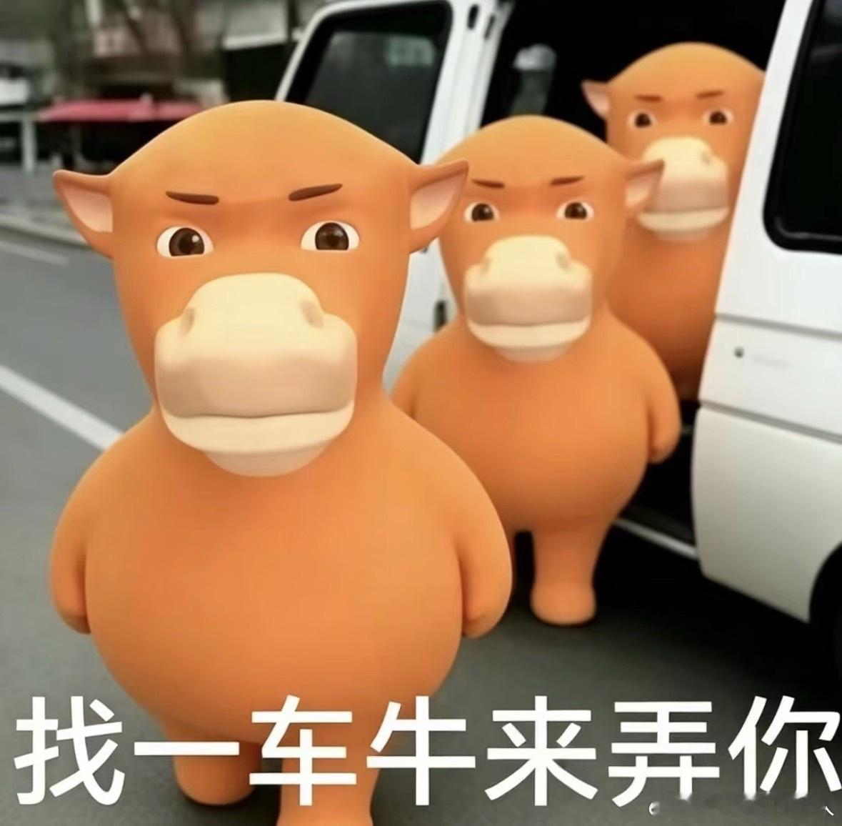 没想到公司团建居然能小方到这种程度，我朋友说昨天她司团建项目是包了辆小巴把十几个