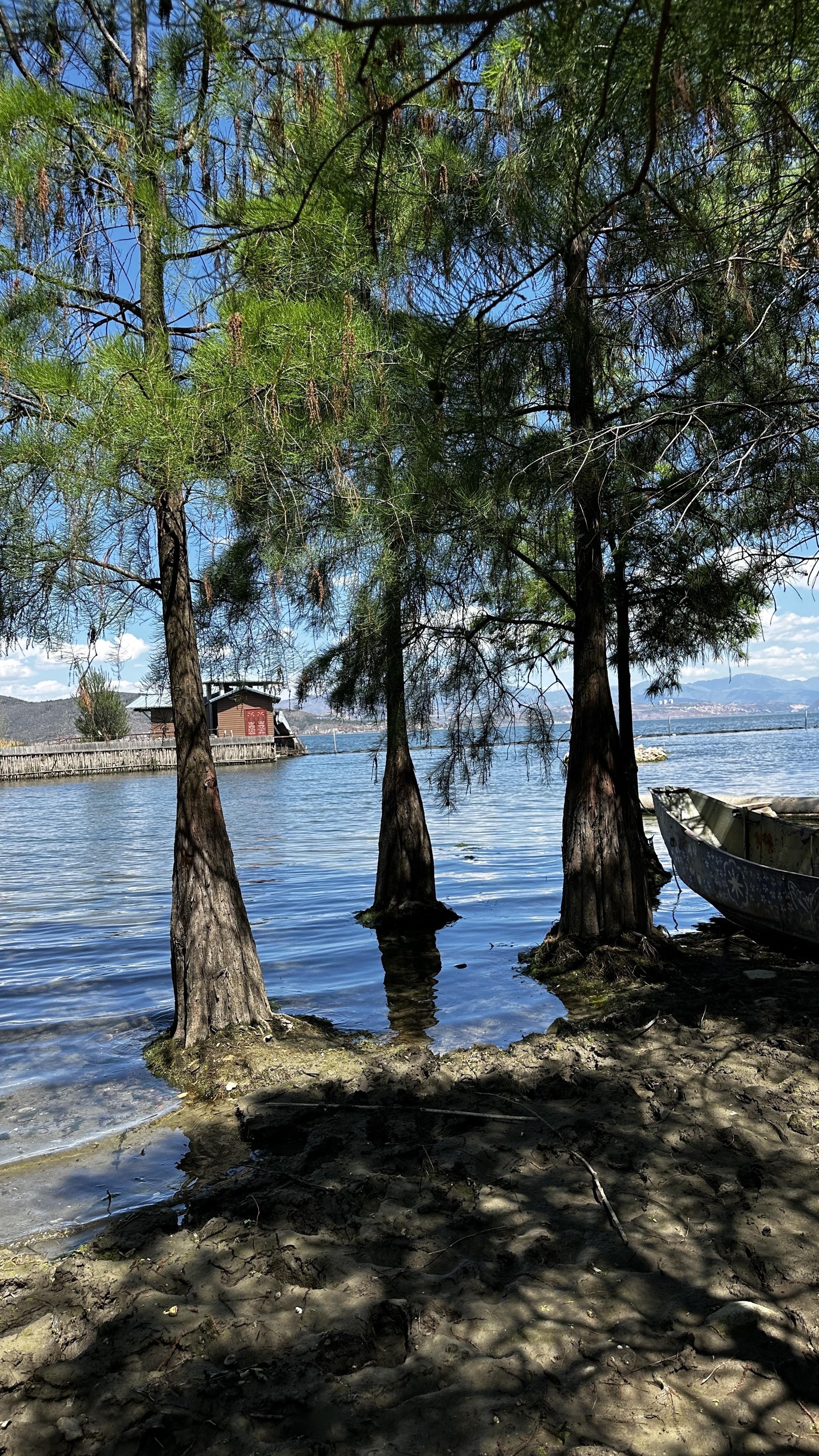 洱海 你美