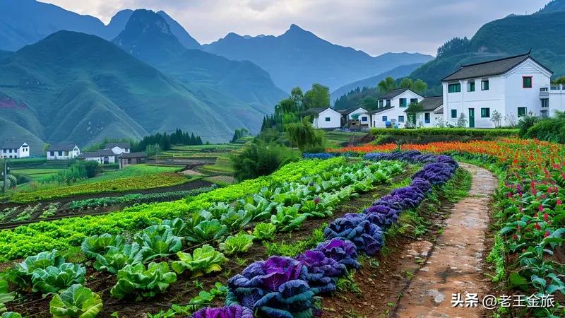 提升乡村旅游品质，得从多方面入手。首先，要强化服务质量意识，完善标准化体系。很多