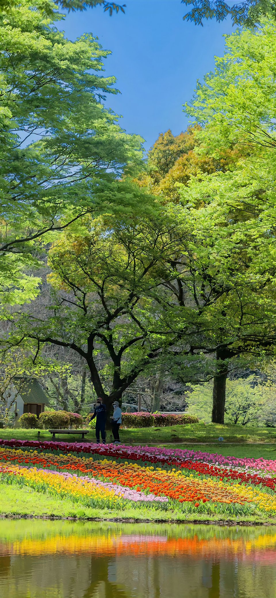 晨光正好，元气满格！今天也要闪闪发光呀！早安！
