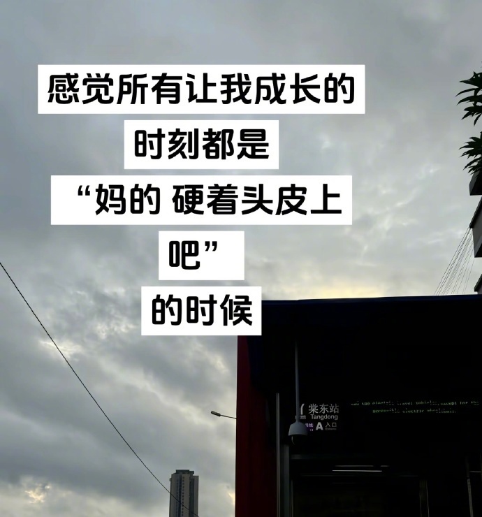 这段话彻底杀死了我的精神内耗 