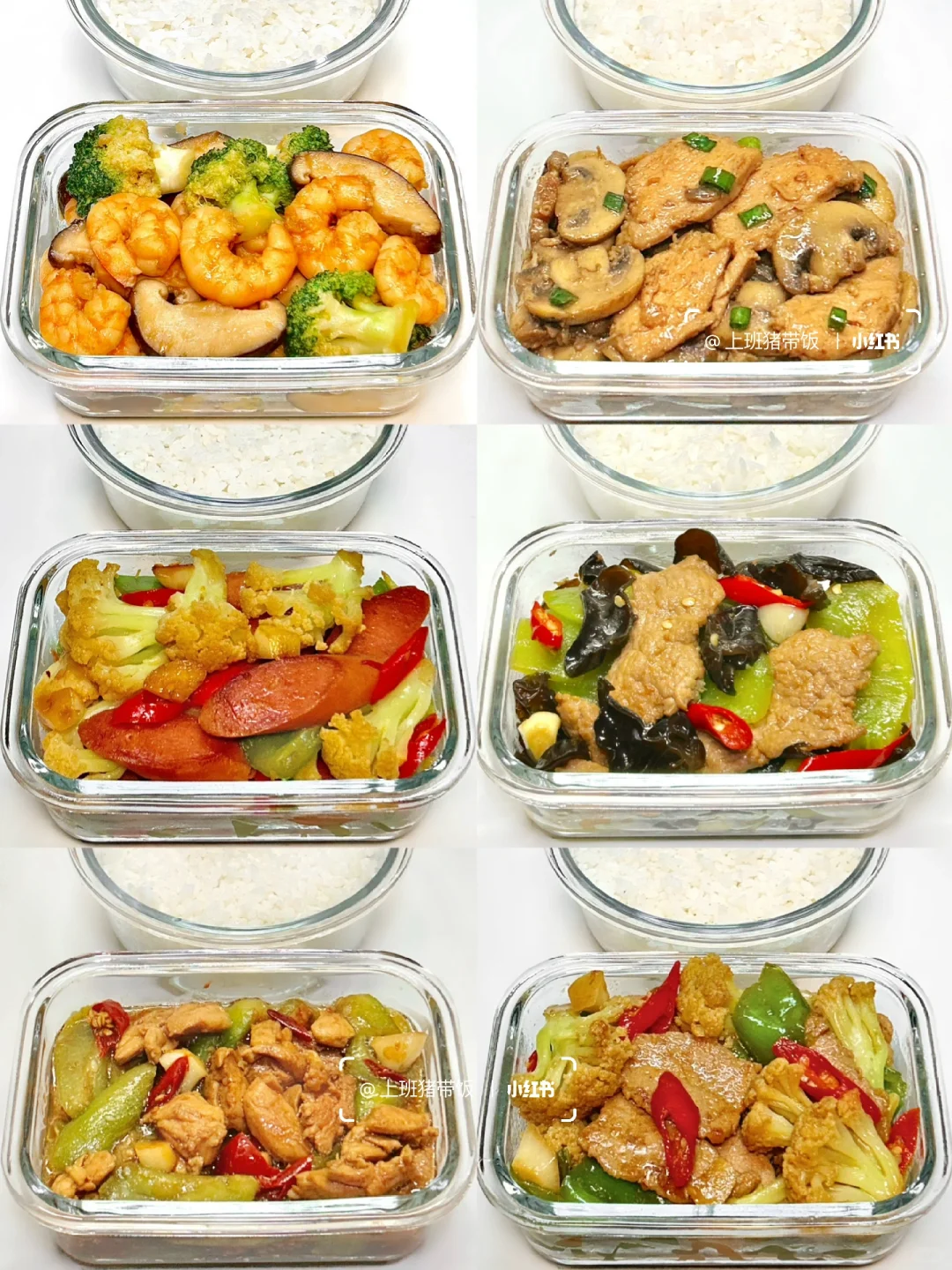 上班带饭合集丨适合上班带饭的十分钟快手菜