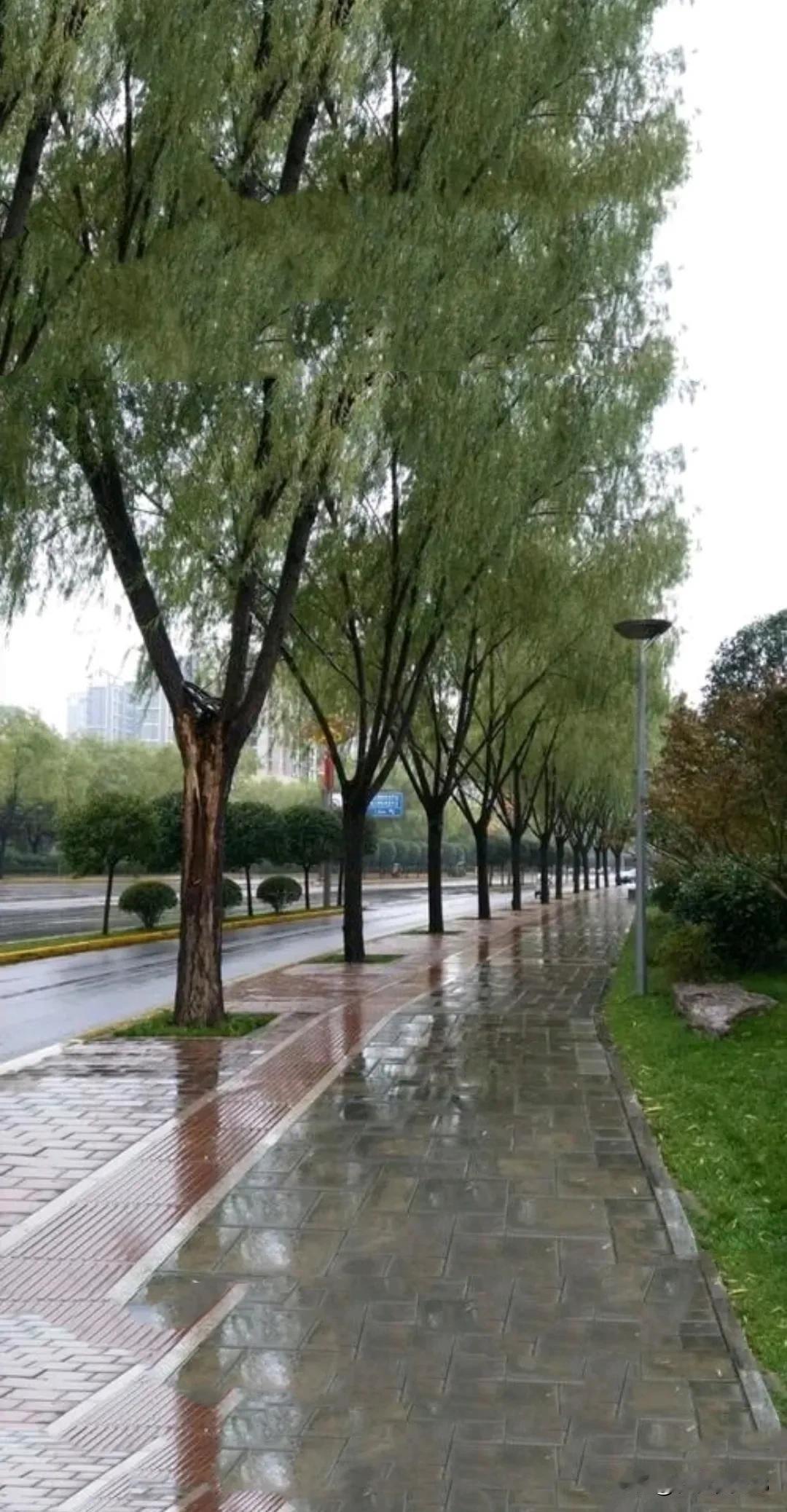 上联：问雨雨不语，诚邀下联说停停不停。