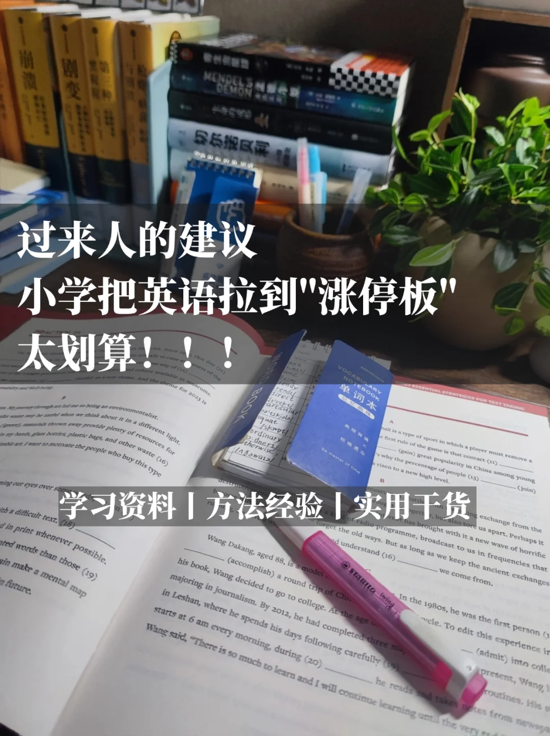 小学把英语拉到"涨停板"太划算！