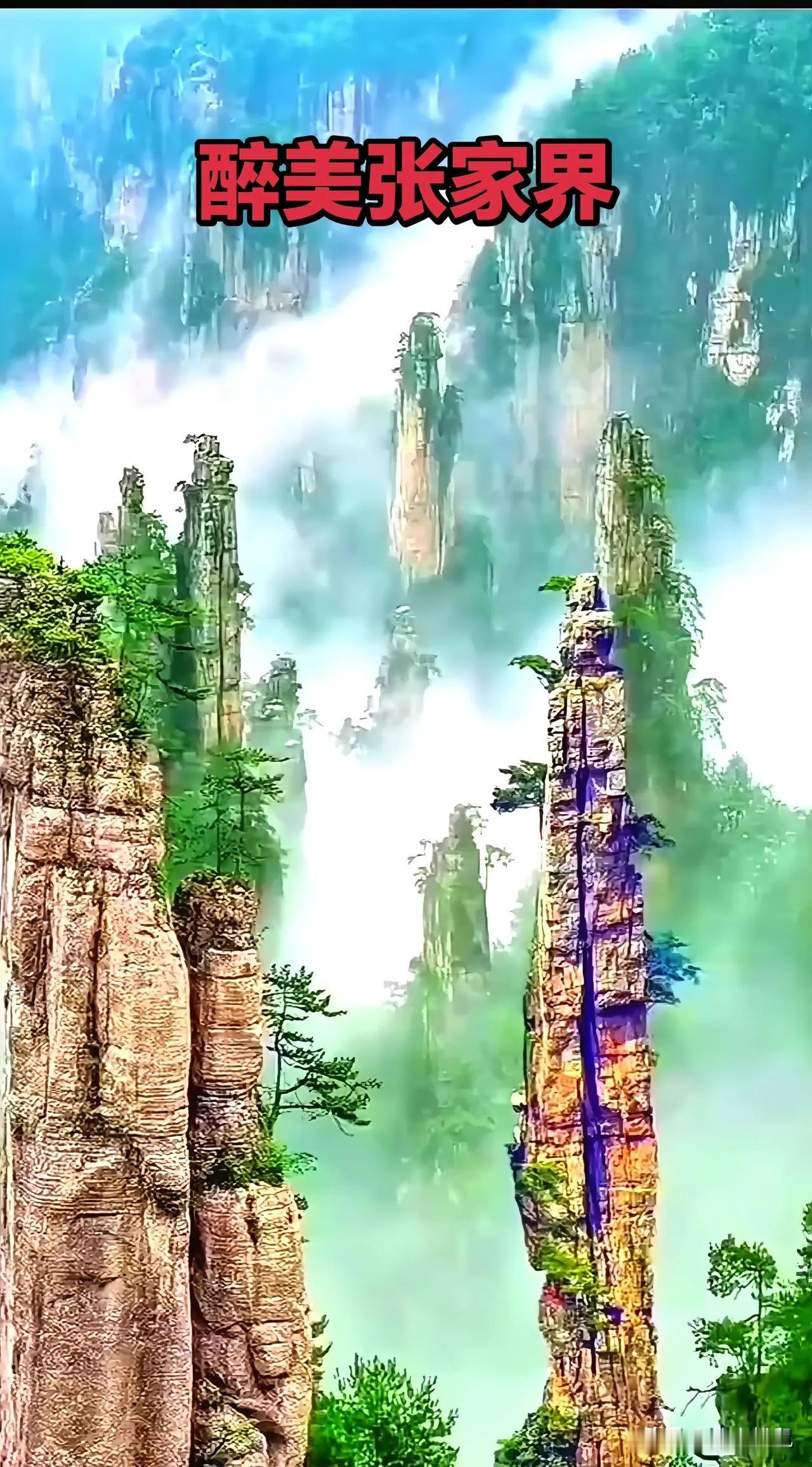 醉美张家界，云雾缭绕，仙境般的山水画卷！🌿🏔️