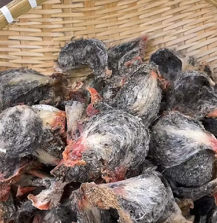 大家说下这个燕窝到底有什么营养？是什么味道？穷没有吃过