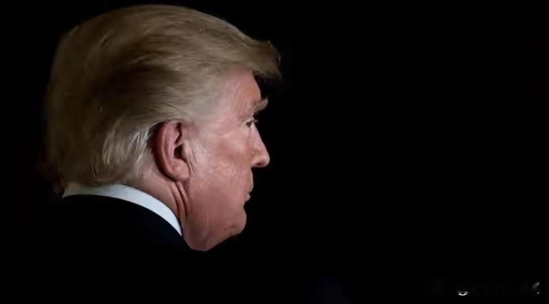 特朗普威胁武力夺岛，英法德纷纷认怂，丹麦服软，普京有力使不出