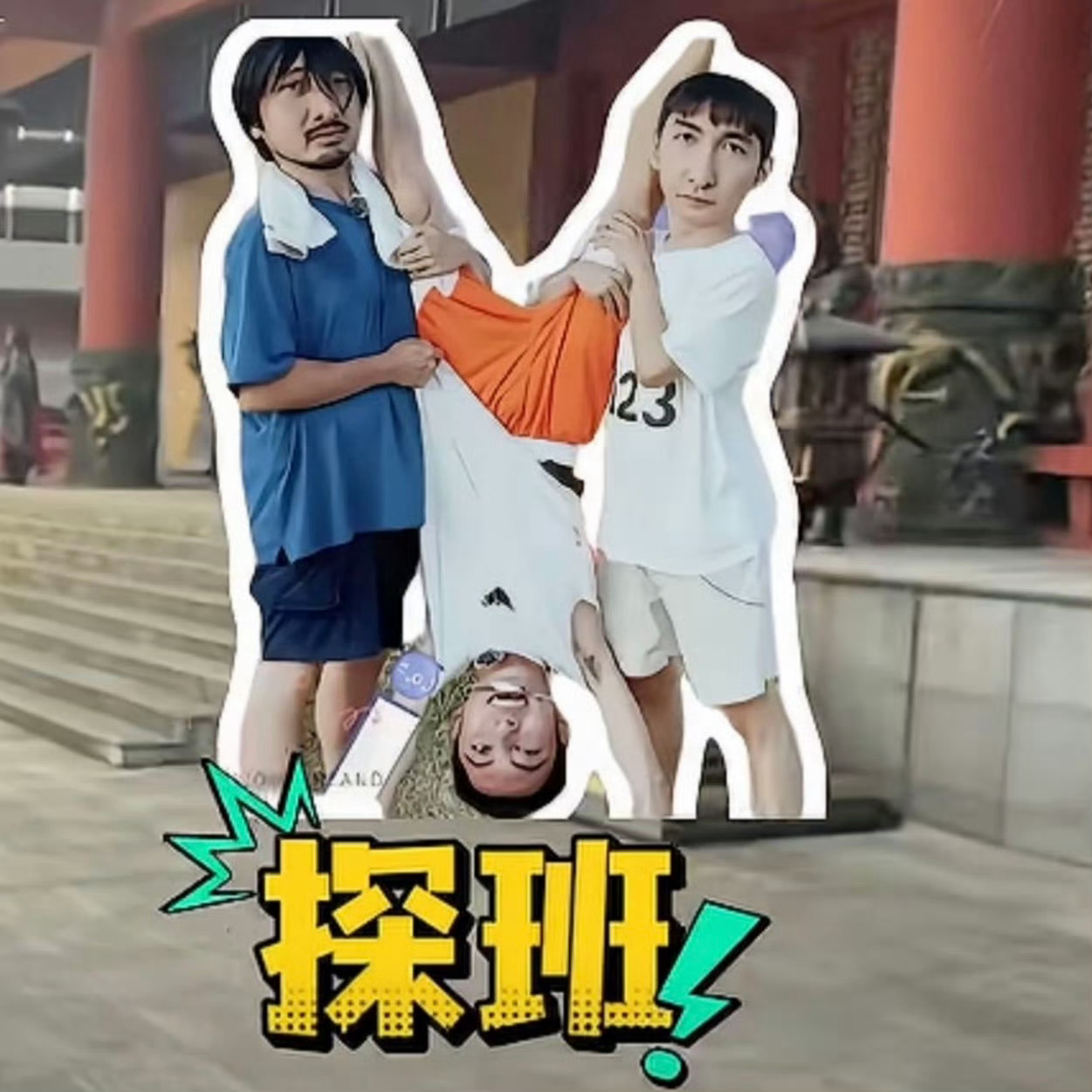 每日萌宠打卡 桃花坞三傻哈哈哈哈哈！ 