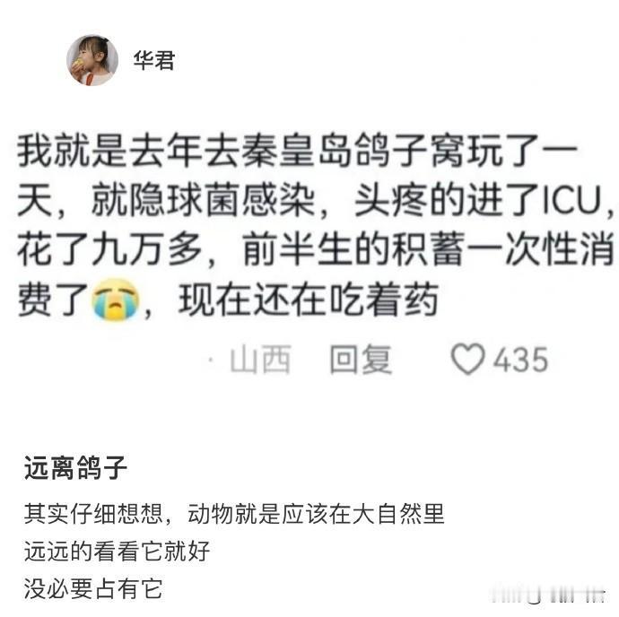 所以鸽子就是会飞的老鼠呗