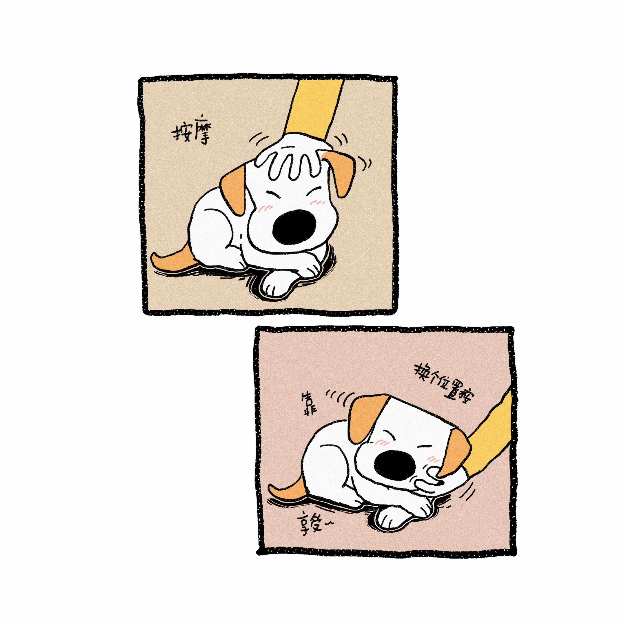 给小狗按摩。