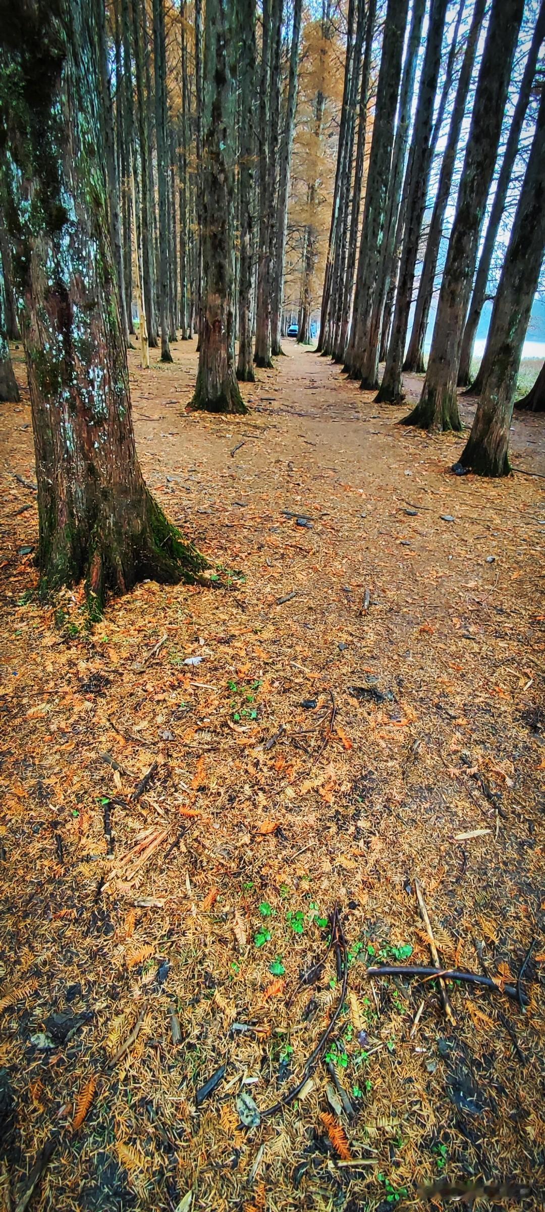 今年冬天的不同天空中飘着稀疏的雪花，这两日的小城特别冷。偏偏又遇到更恶心的事情，