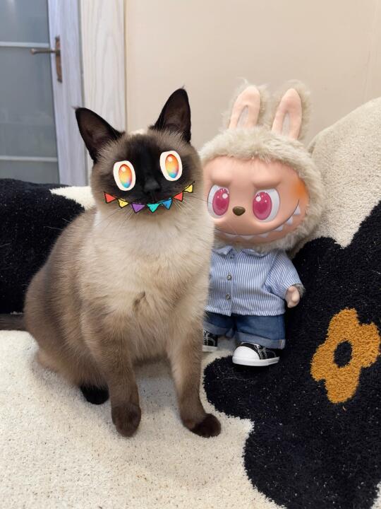 抽到了隐藏款labubu！