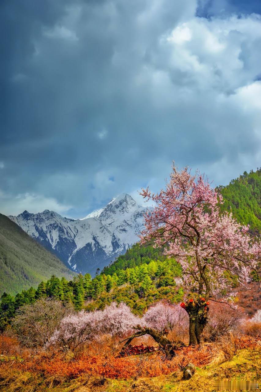 早安[超话]💫生活是一场奇妙旅行，带着热爱启程，把每一个清晨当作新起点，早安呀