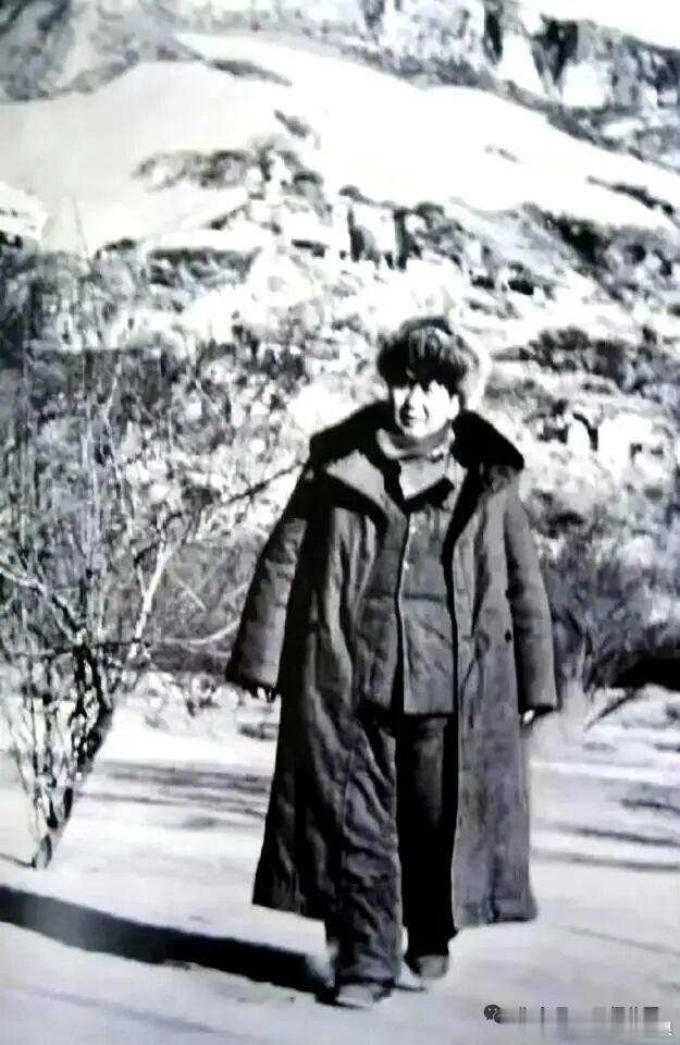 【破阵子•颂伟人】破阵子·颂伟人晓踏韶山云起，暮登橘渚风扬。雪岭寒途承壮志，灯芯