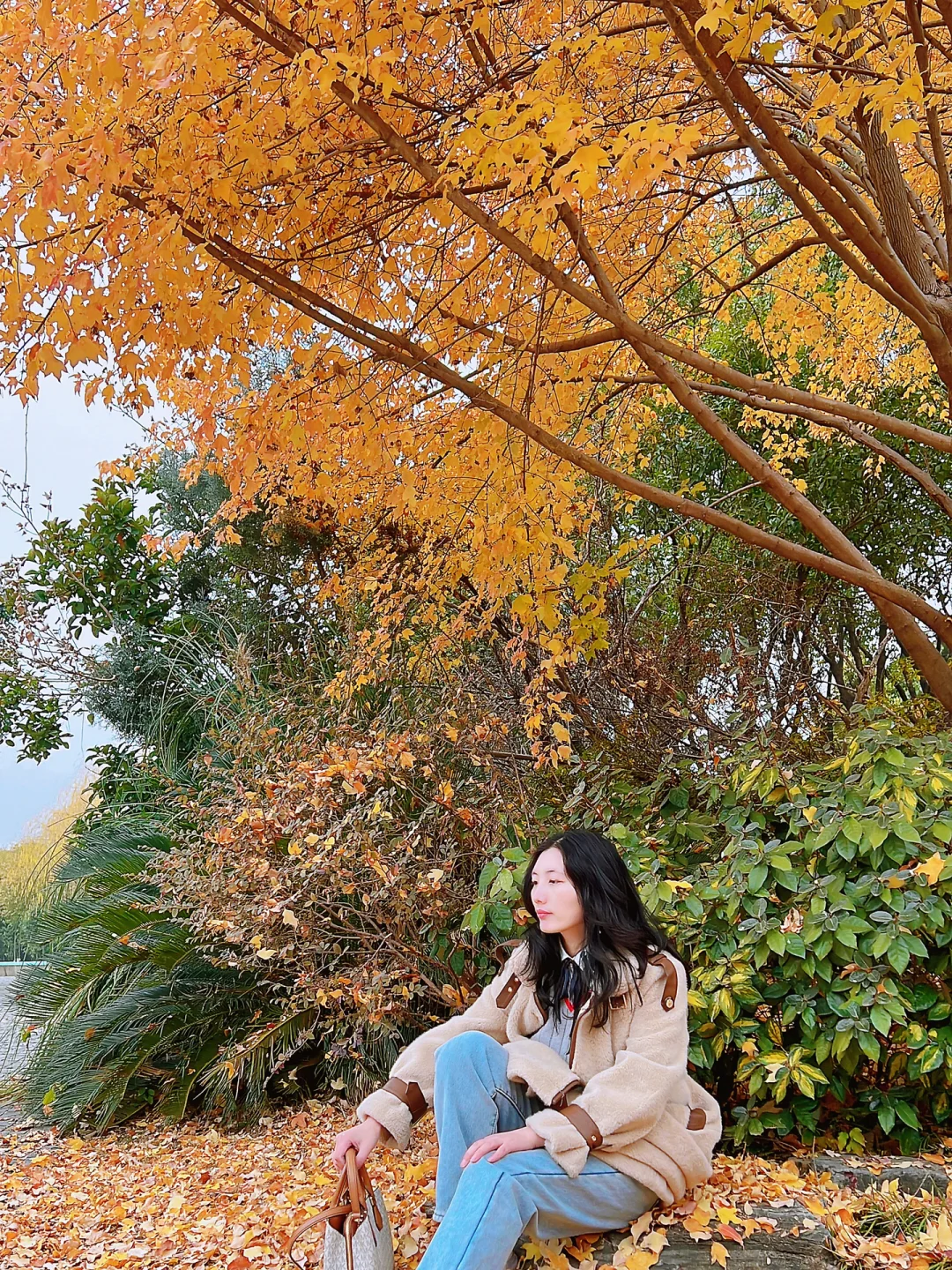冬天来武汉‼️这6个免费银杏打卡地别错过🔥