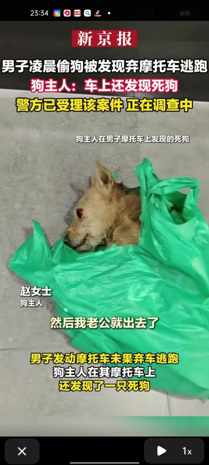 12月22日，温州乐清市。网友晒出监控视频，一位男子偷狗时被发现弃车逃跑，男子骑