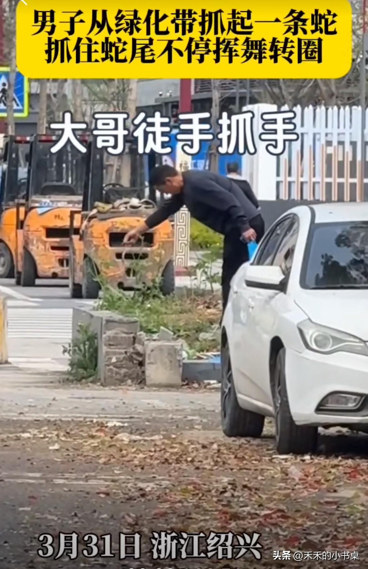 大哥从绿化带经过，看到绿化带里有条蛇，于是直接徒手抓起蛇！
然后抓着蛇尾不停的甩