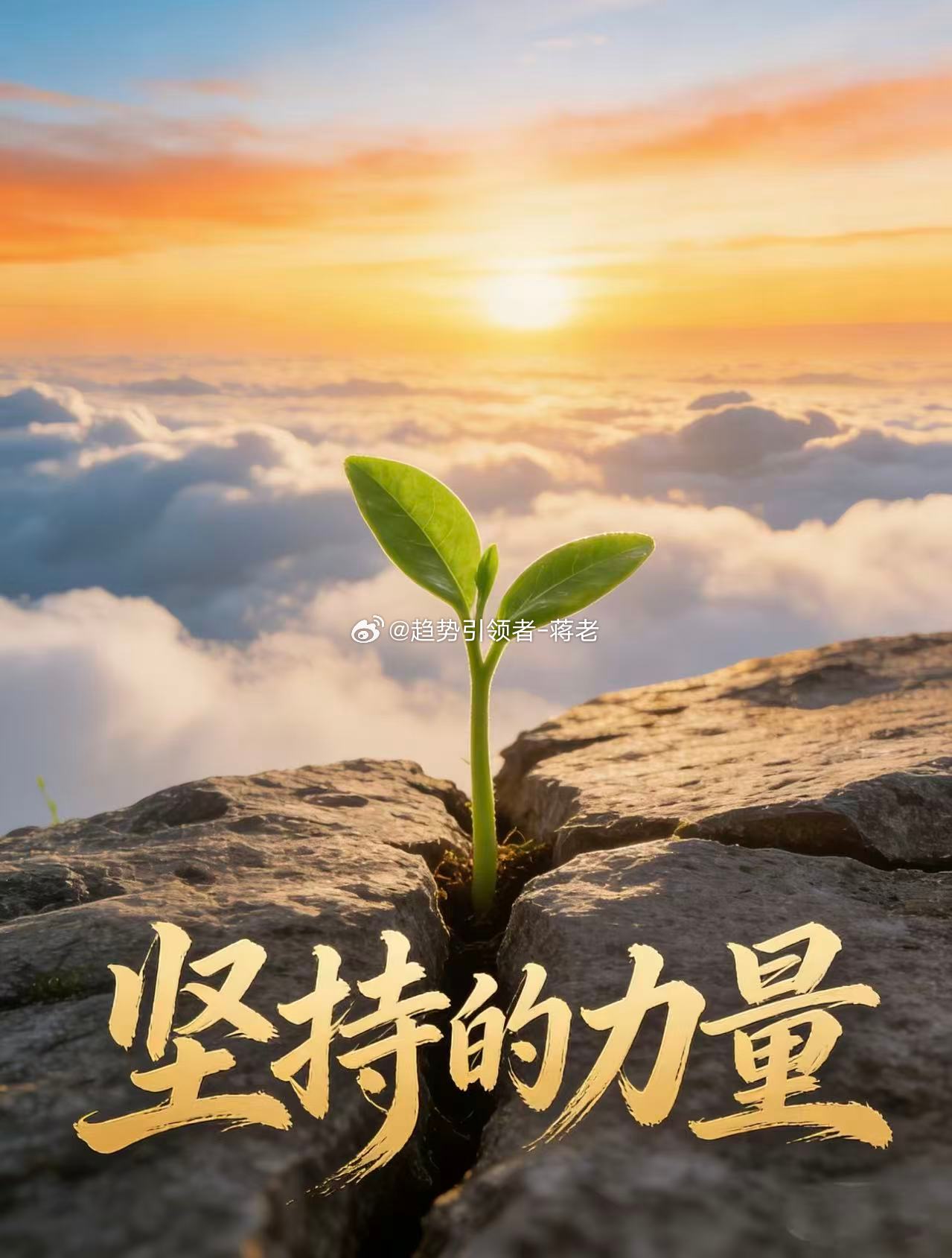：盘面如战场，K线即脉搏。每一次精准切入，都是在混沌中锚定方向；每一回果断防守，