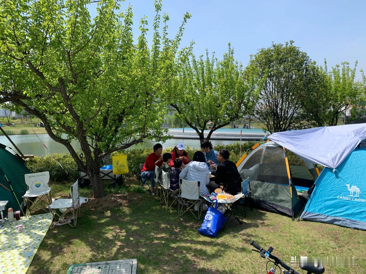 #春日暖心语录# #春日花样生活# #三月春日游#