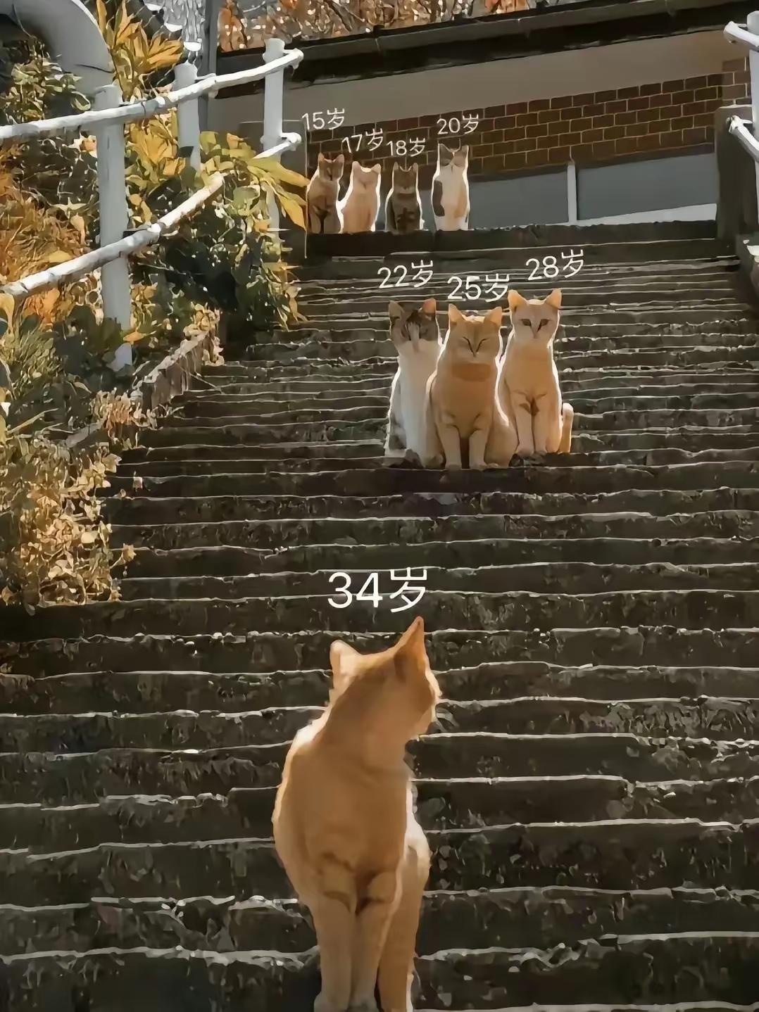 夫妻和谐共生的性生活，本是正常的夫妻交流沟通的最好渠道。
       可是，为