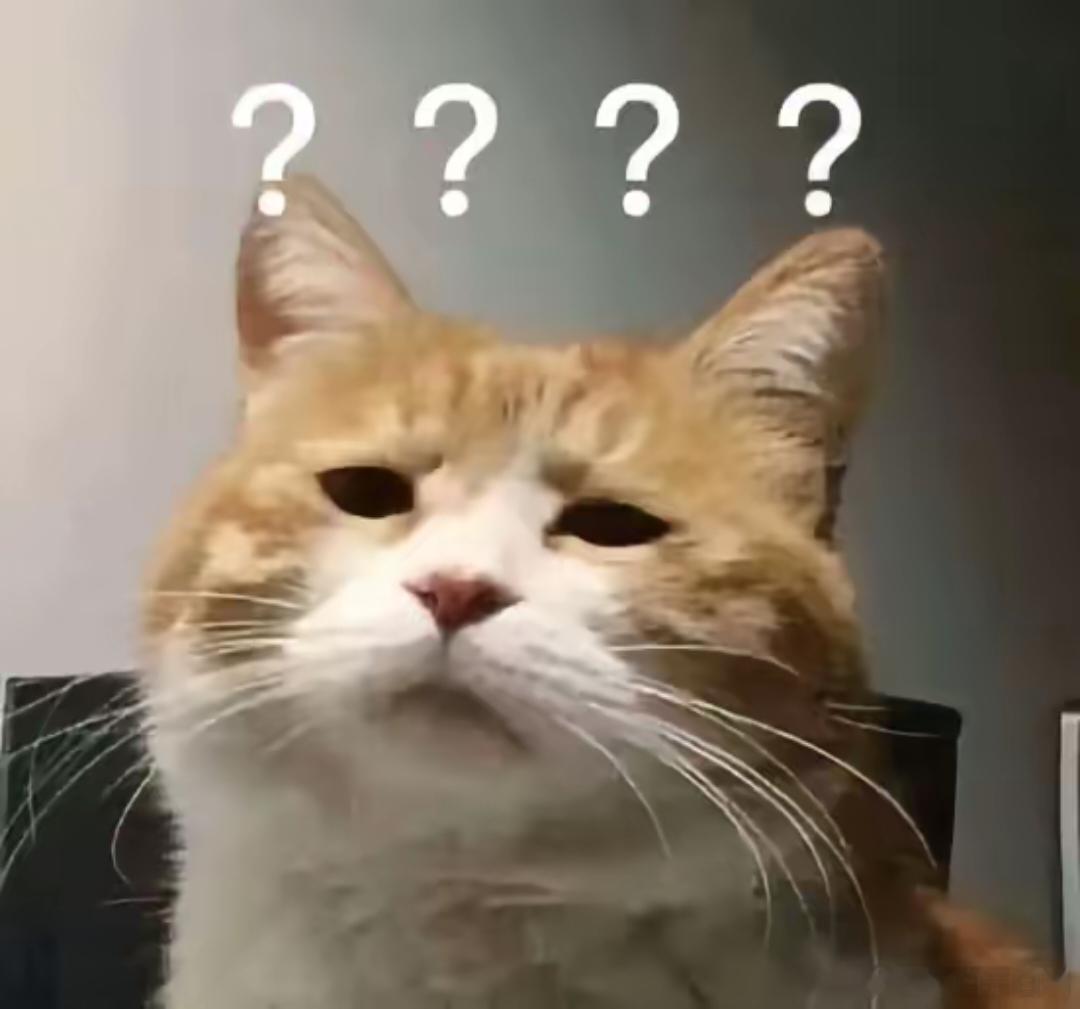 我好像真的不适合蹭rs带视频还是我打开方式有问题啊