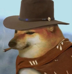 狗为了赢面相都变了他急了他急了 