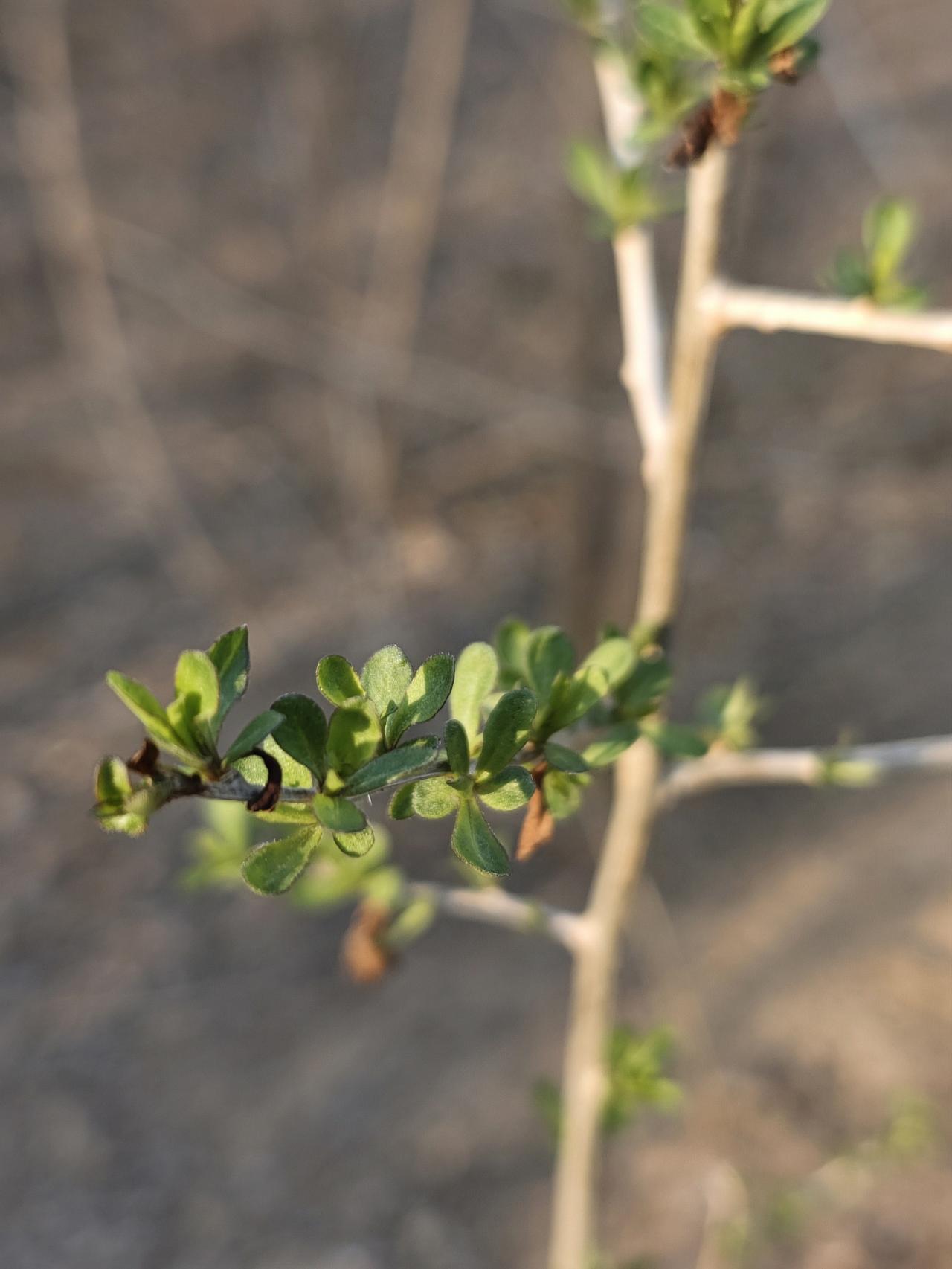 有一位精神科的大夫说了一句非常扎心的话。他说我们每个人都应该有一个不管是好还是坏