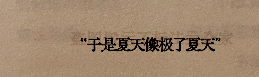 “卧槽，我太爱这个了”