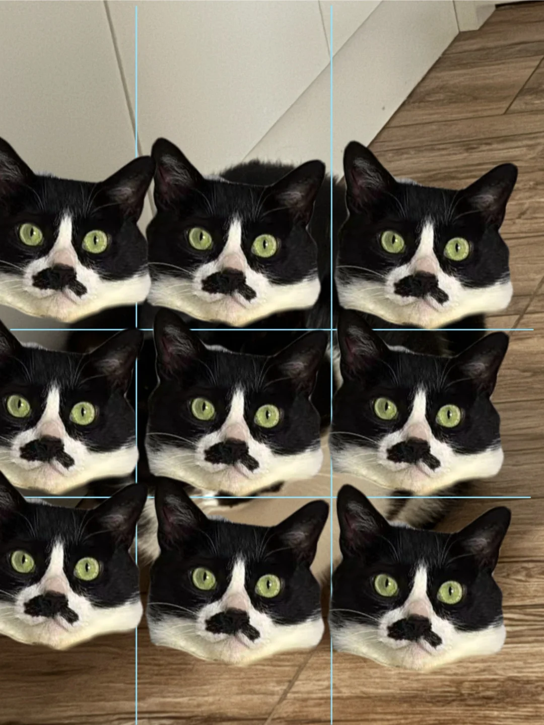 怎么不算九头身呢？