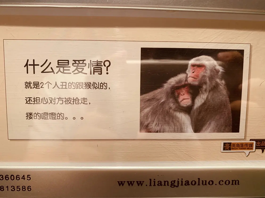 什么是爱情？ ​​​