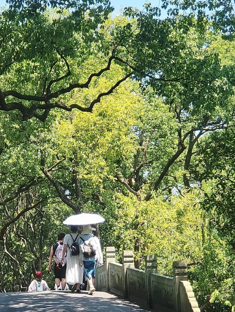 黄昏恋千里护送女儿，

红包迟到引发争吵，

老人气走新老伴？

最近有位大爷通