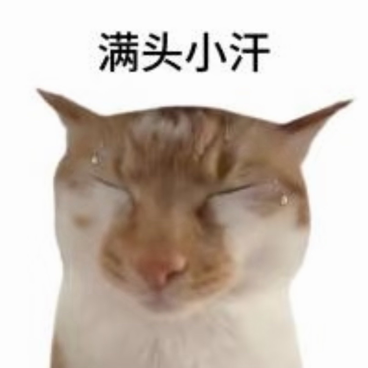 宿某今天一直喊我“张一一” 我寻思咋了呢 原来是他偷摸生气了 决定不再喊我凡凡 