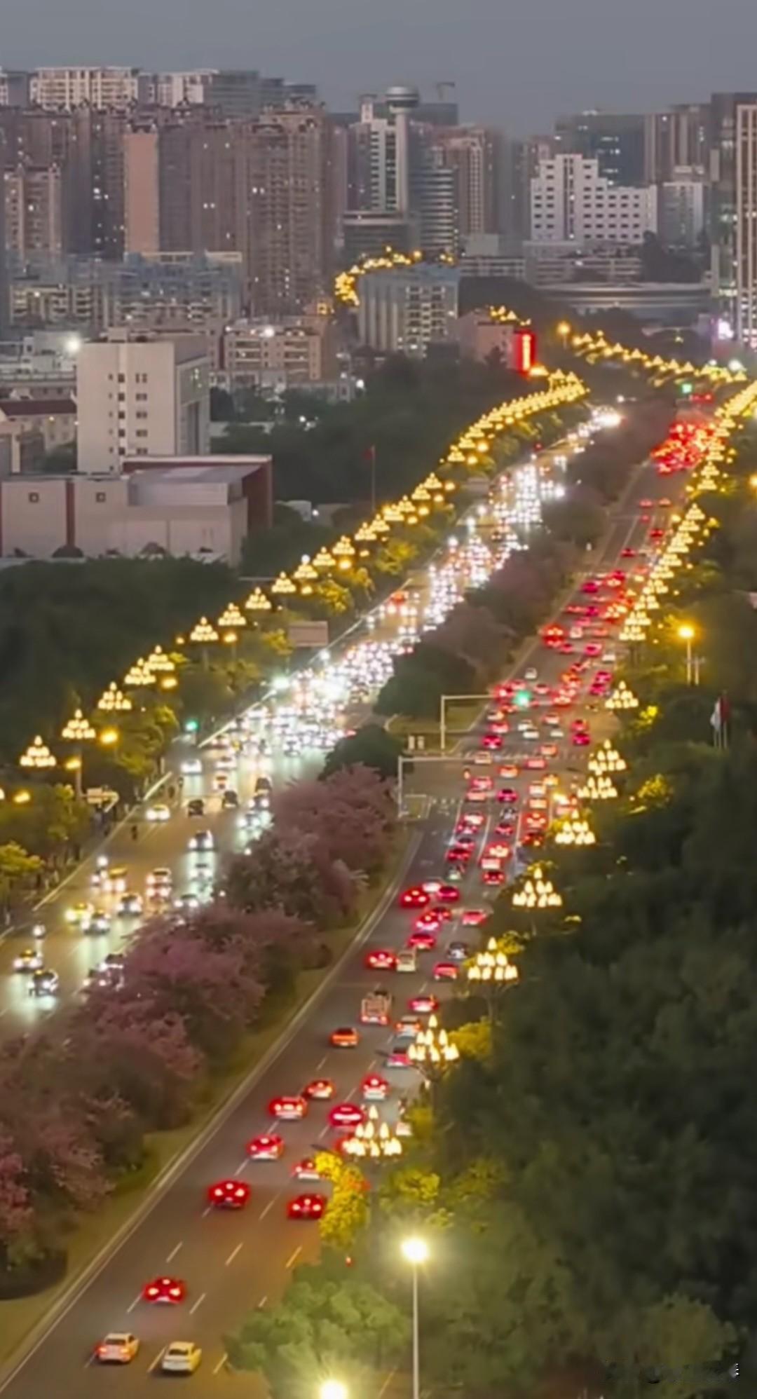 晋江世纪大道
冬日里的世纪大道，依然绿意盎然，一路繁花，异木棉灿烂绽放。
夜幕降