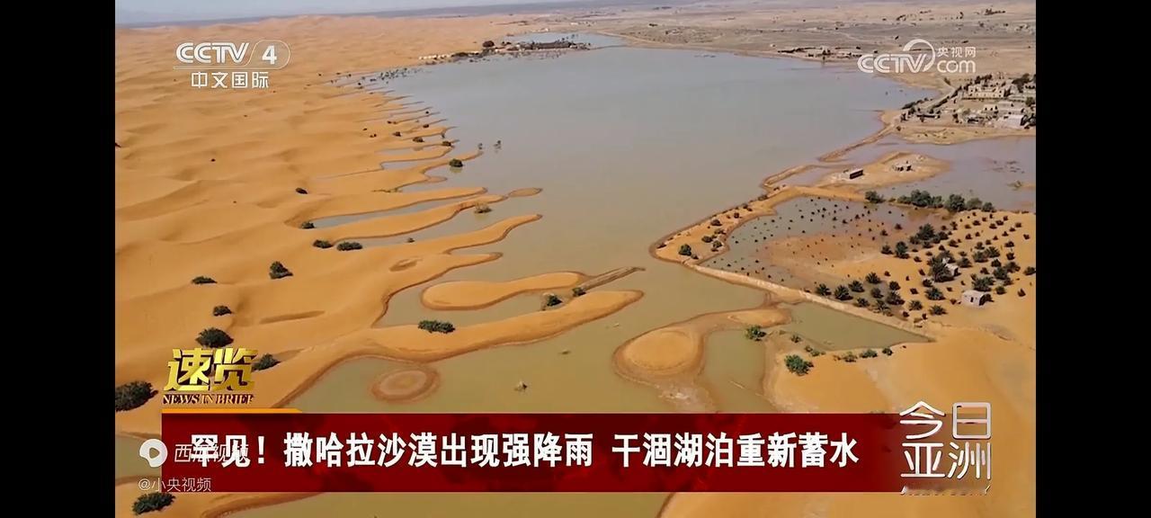 撒哈拉沙漠竟然出现强降雨，干涸湖泊重新蓄上了水。原以为沙漠上常年是没有水的，没想