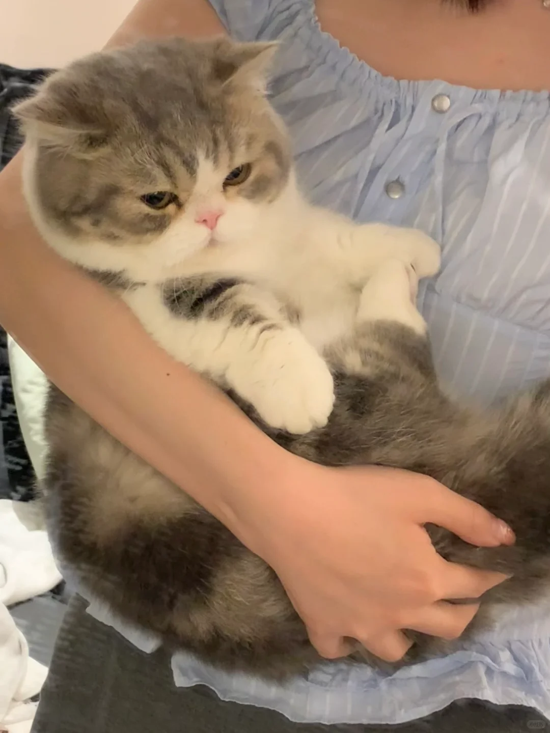 孩子非要抱 一放下就摆脸色
