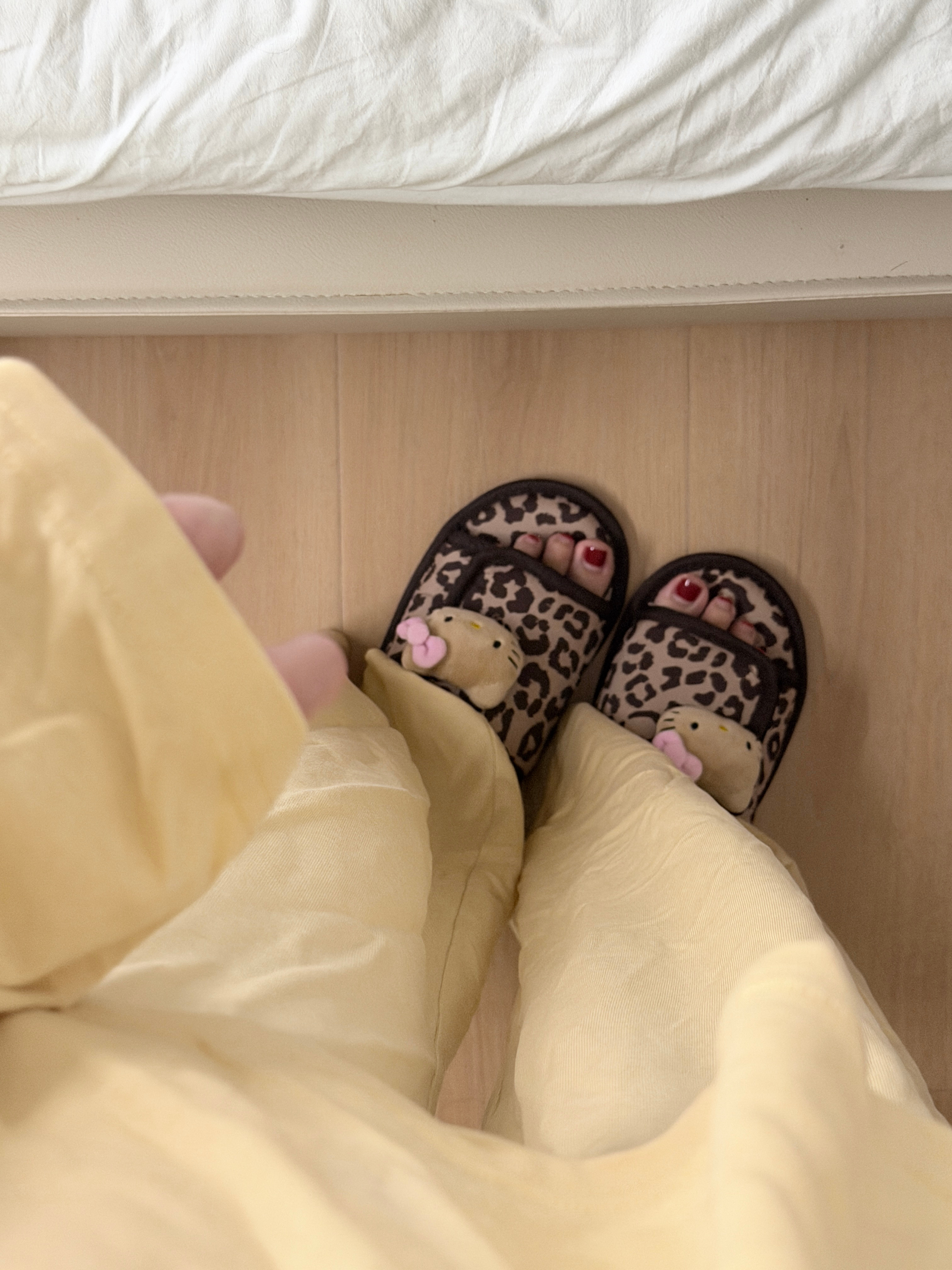 如果可以我愿意一直窝在家[淡淡的]宅女本色罢了… ​​​