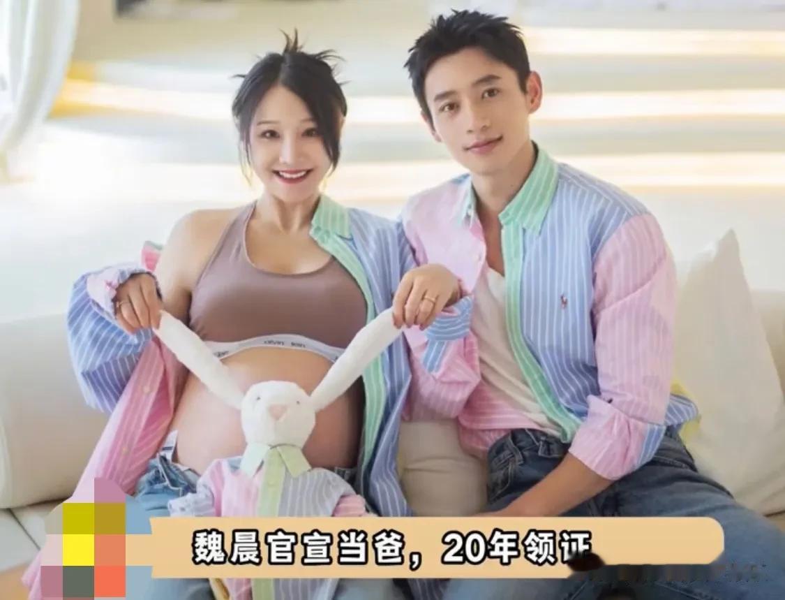 好感人的婚礼誓言，魏晨官宣当爸，从校友到婚纱，终于有了自己的小宝宝，真是可喜可贺