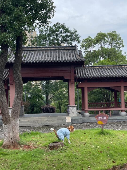 比师傅真会挑风水宝地上菜