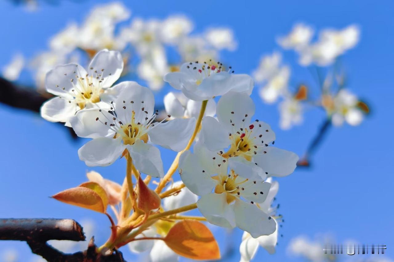 外卖员父亲
 
他是风里雨里奔波的外卖员
也是默默撑起家的父亲
没有优越家境
没