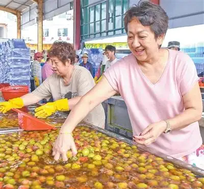 【荔枝采摘后为何要泡水】5月中下旬，荔枝大批量上市，网上一些荔枝泡水的视频引发关