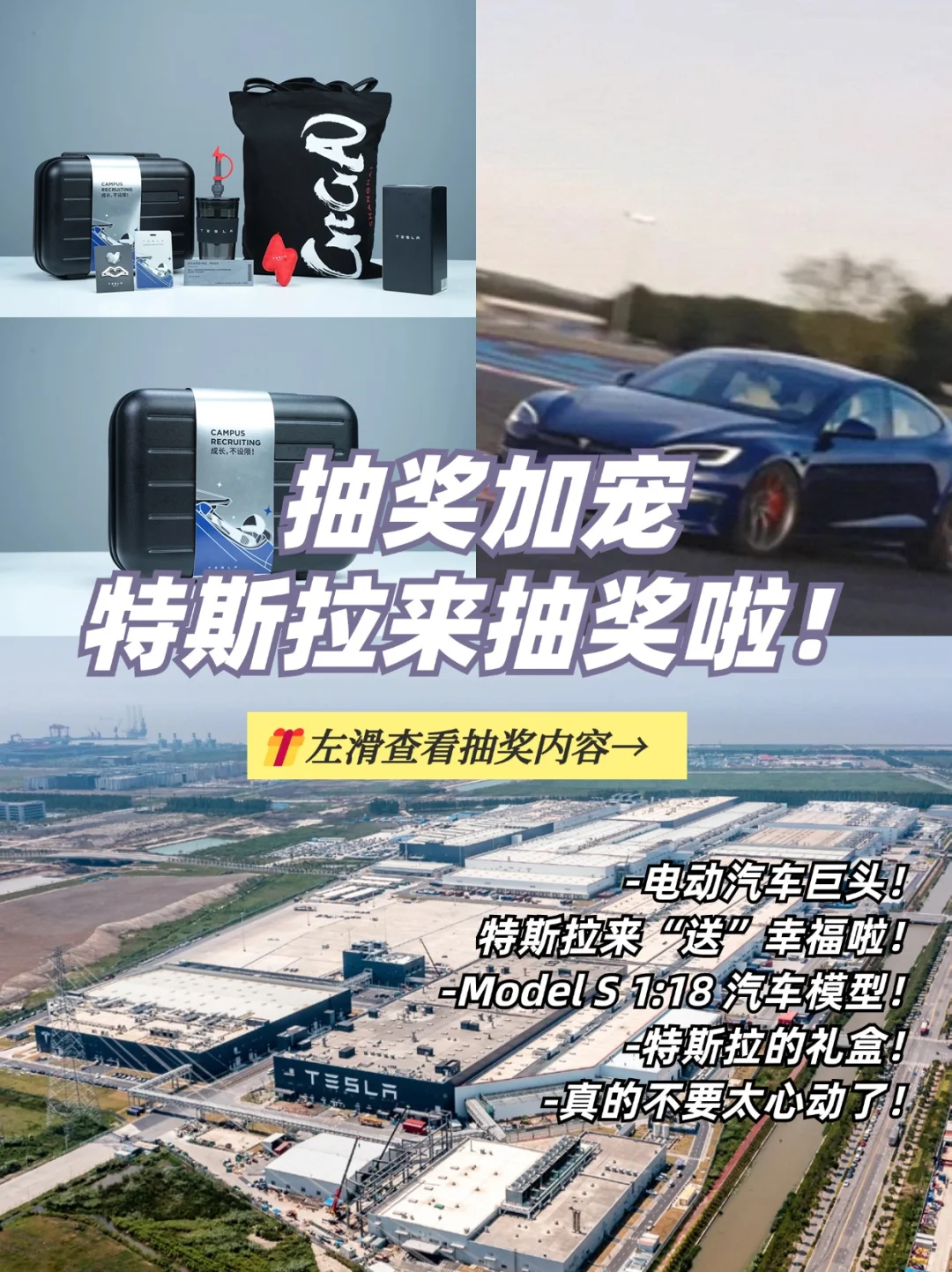 抽奖加宠，特斯拉来送“特”别的礼物啦！