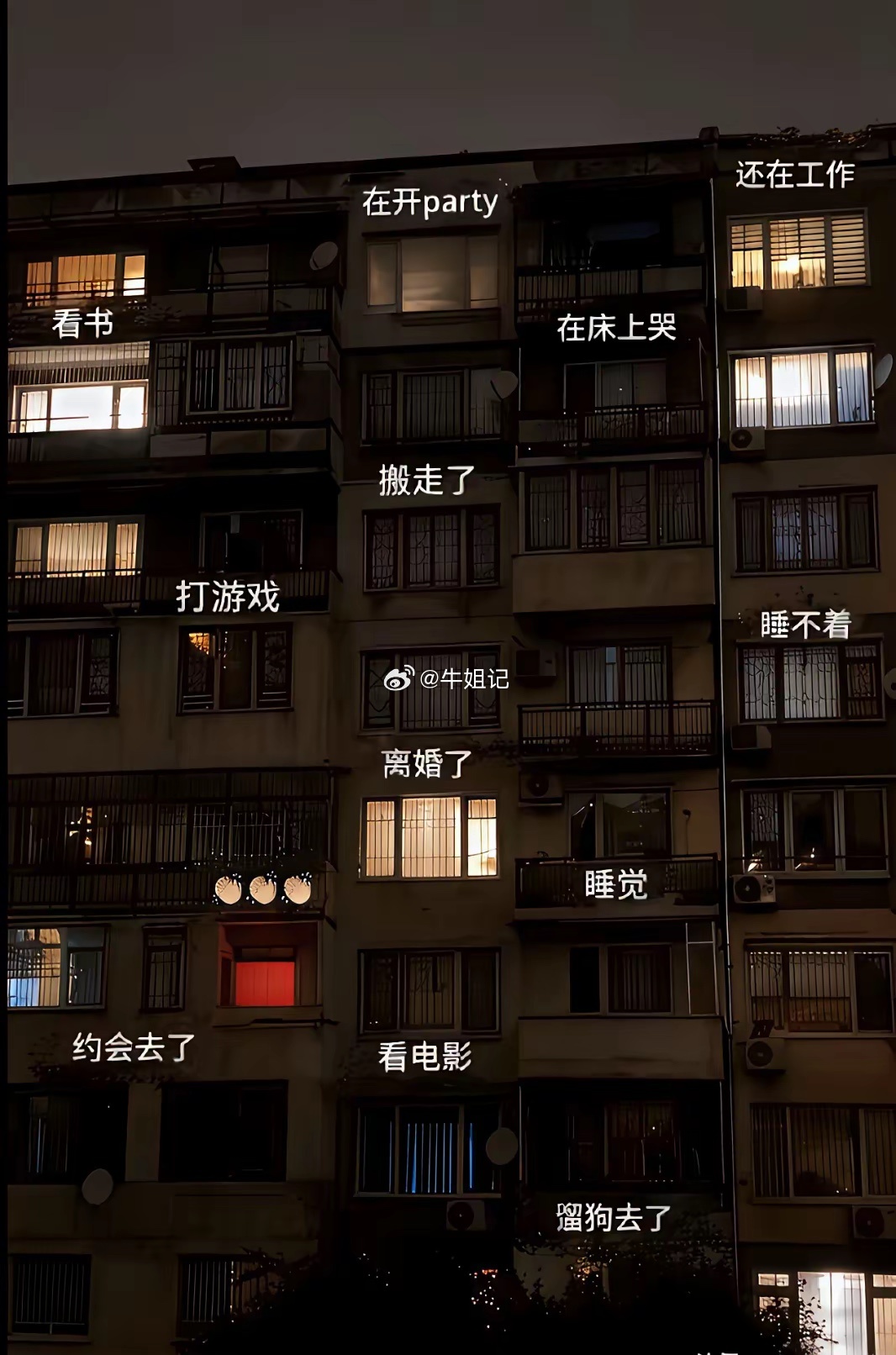 看到这张照片，大家悟出了什么道理？ 