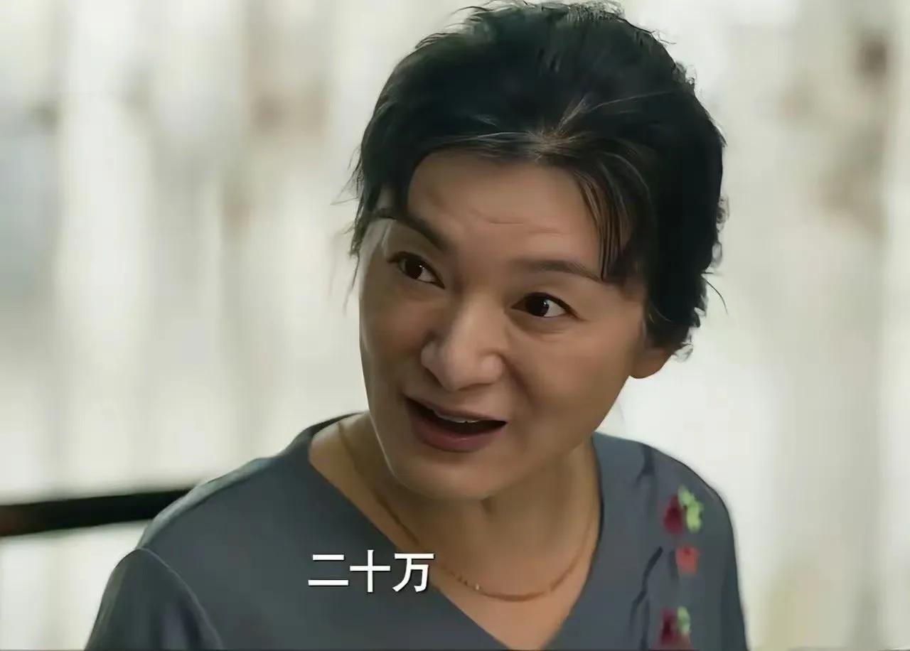 最可怕的一幕还是来了，苏苏母亲开口就要20万彩礼。

20万，在二十年前是什么概
