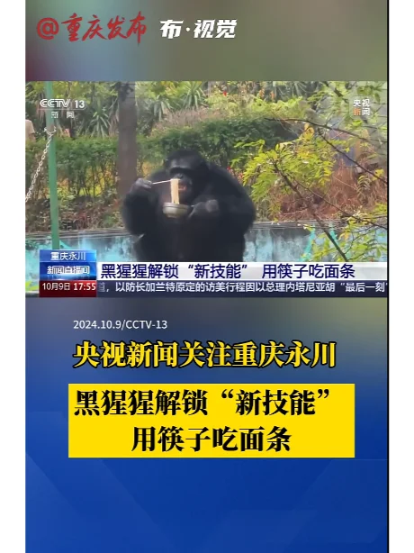 男，23岁，工作稳定，这样在相亲市场打几分