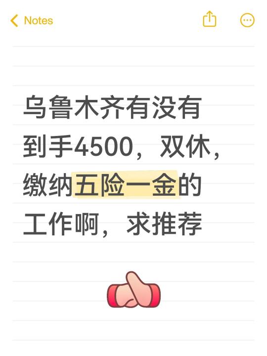 乌鲁木齐有没有到手4500，双休，缴纳五险一金的工作啊，求推荐