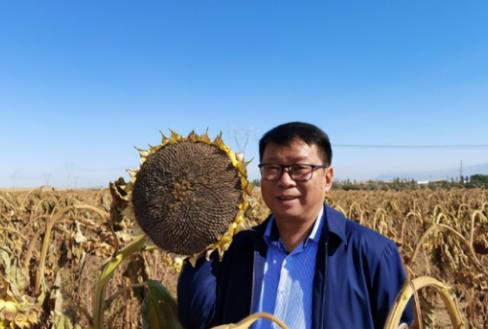 我国工程界大乌龙事件！2009年，重庆大学教授易志坚在研究物质力学时，意外发现了